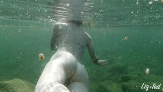 ���ိင်အပေါ်အမြစ်