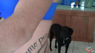 Inked तरूणी त्याच्या Cleo आवडी देऊ मदतीचा हात, तेव्हा एक मोठा लंड करणे आवश्यक आहे प्रकाशन, ताण आणखी अधिक, तर ती मिळवू शकता उबदार कम सर्व तिच्या प्रती स्तन! त्यामुळे छान! पूर्ण व्हिडिओ &amp;amp; सर्व त्याच्या Cleo @ ItsCleoLive.com!